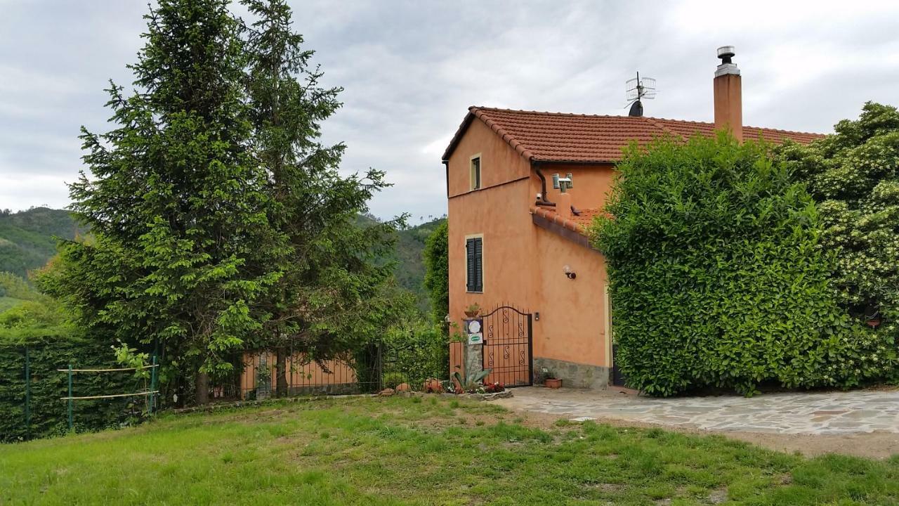 Pin De Stelle Panzió San Martino  Kültér fotó
